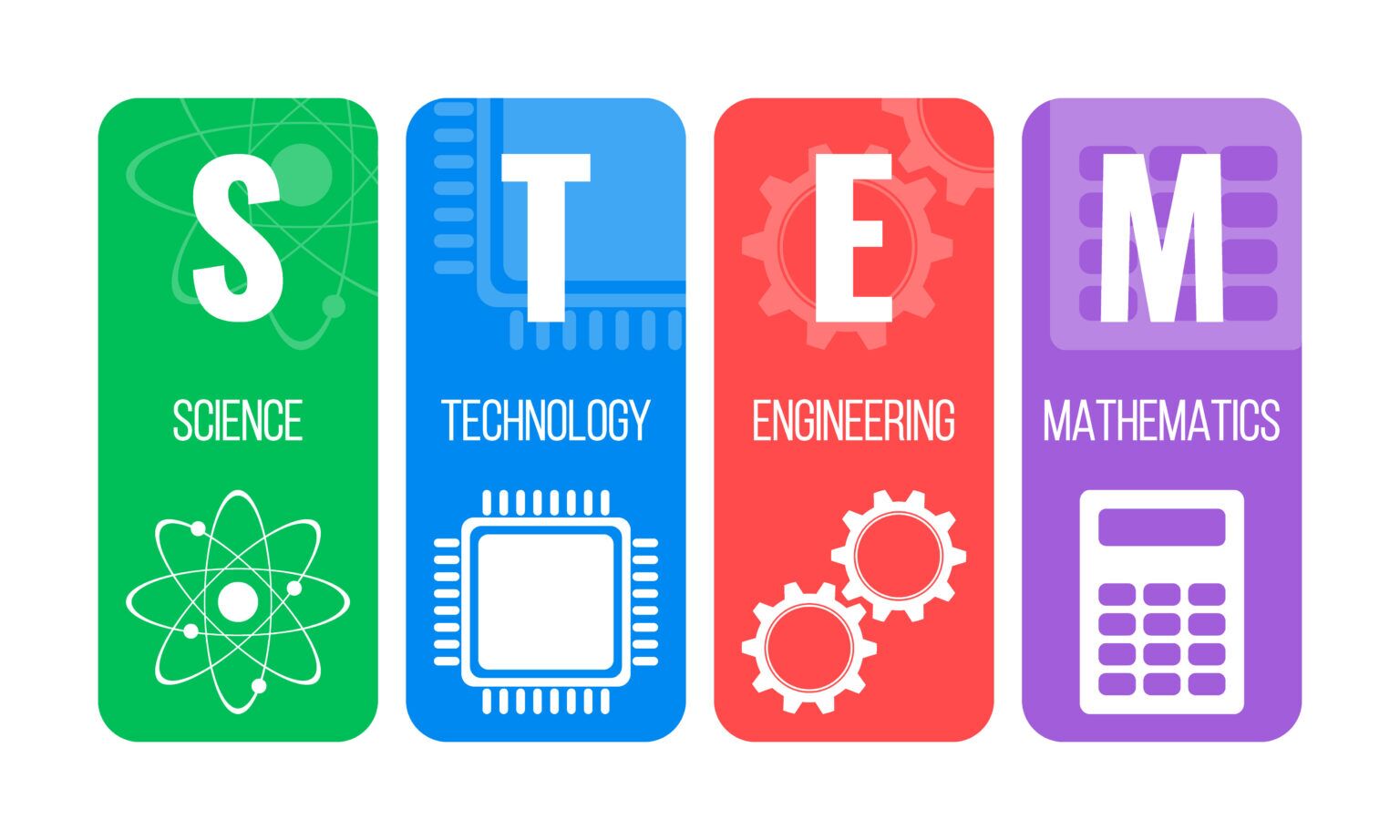Is Accounting a STEM Field? Why It Matters